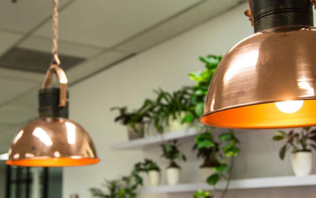 Planning an Environmentally Friendly Office Fit Out